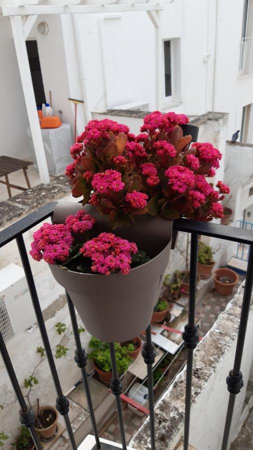 Che bella vita! Monopoli Esterno foto