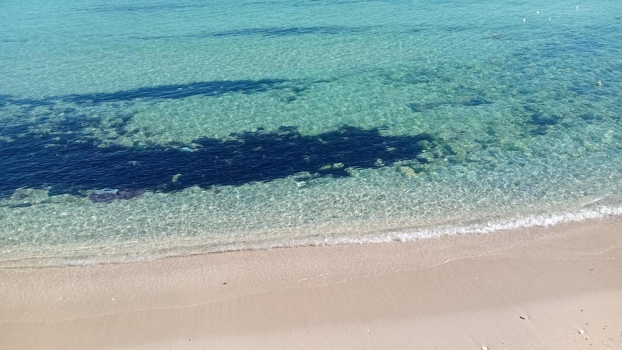 Che bella vita! Monopoli Esterno foto