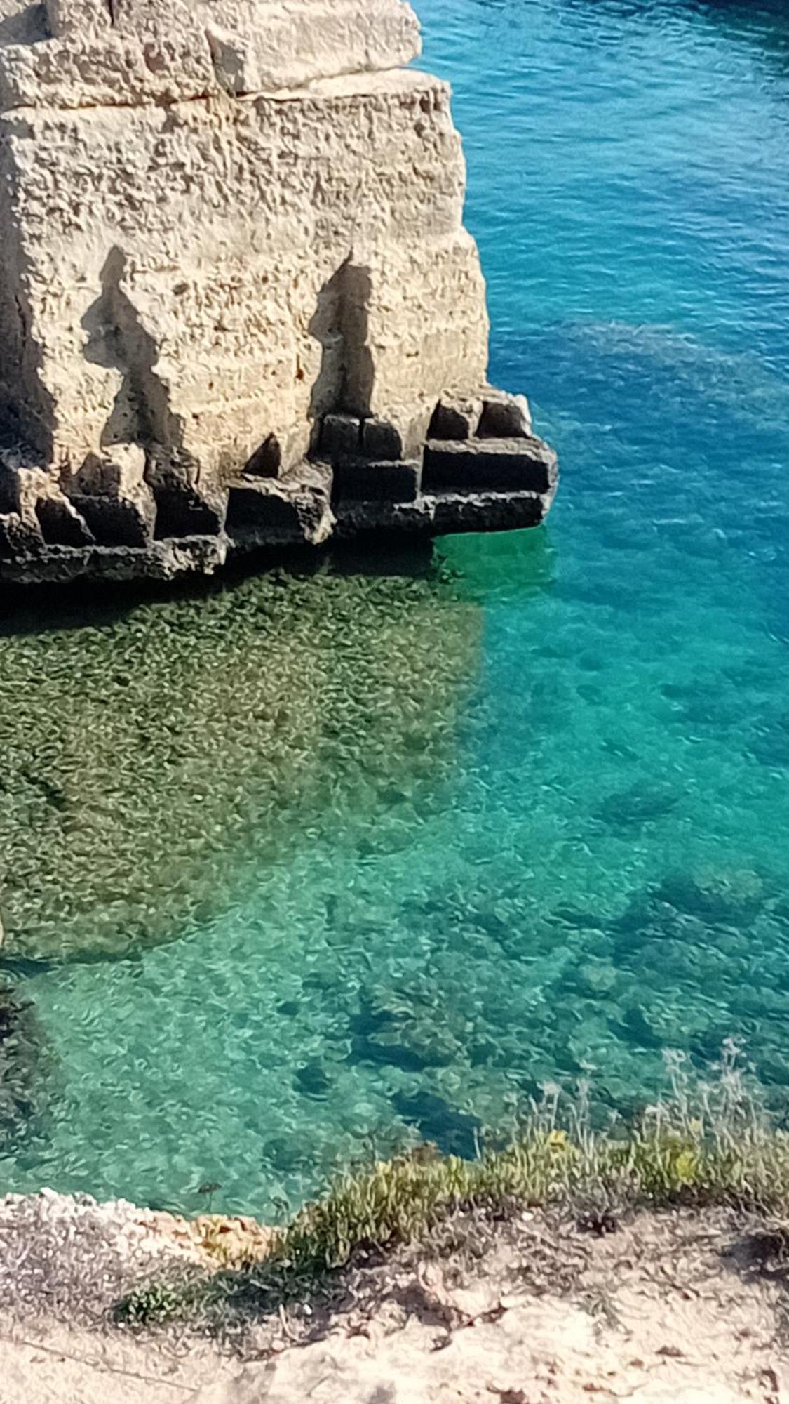 Che bella vita! Monopoli Esterno foto